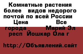 Комнатные растения более200видов недорого почтой по всей России › Цена ­ 100-500 - Все города  »    . Марий Эл респ.,Йошкар-Ола г.